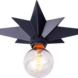 Star shape ceiling lamp